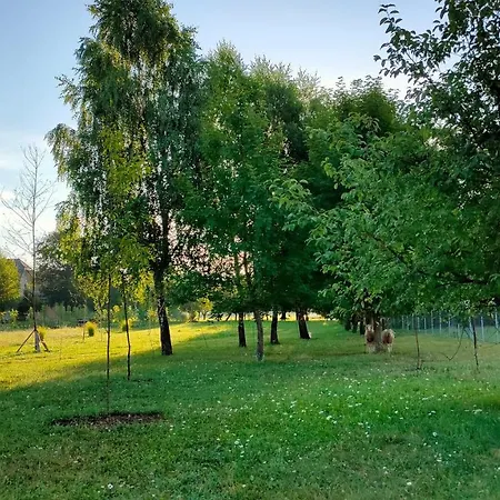 Na Poljani krevet i doručak 3*