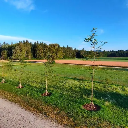 Bed & Breakfast Na Poljani 3*